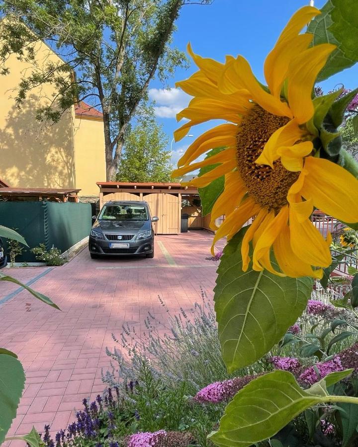 Apartmany Basta & Wellness Sušice Dış mekan fotoğraf