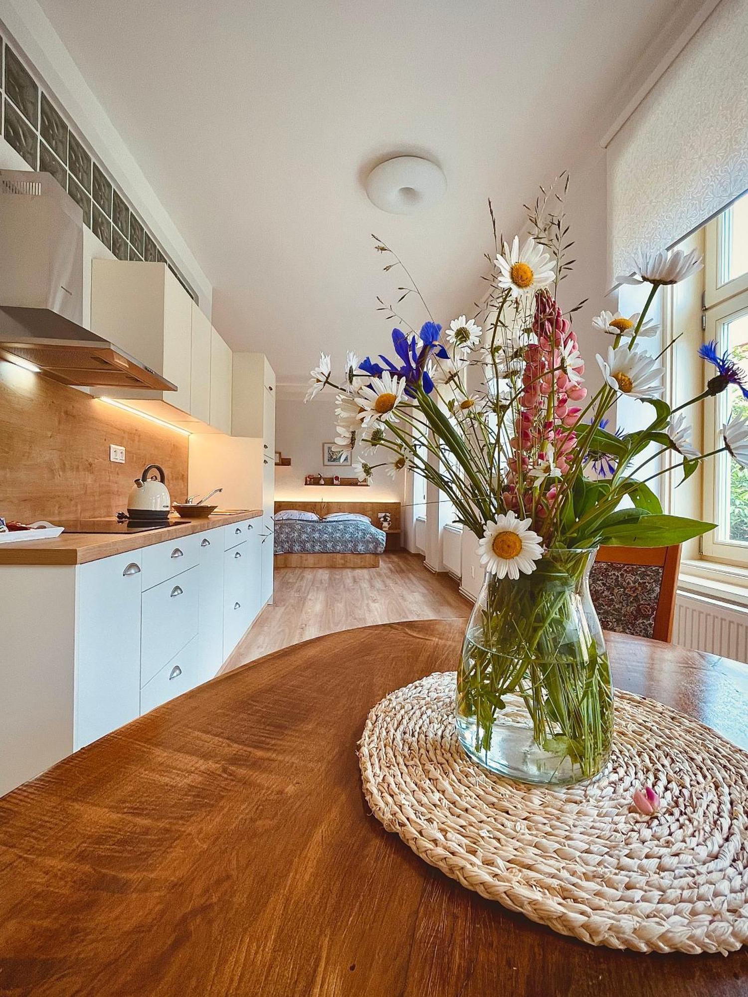 Apartmany Basta & Wellness Sušice Dış mekan fotoğraf