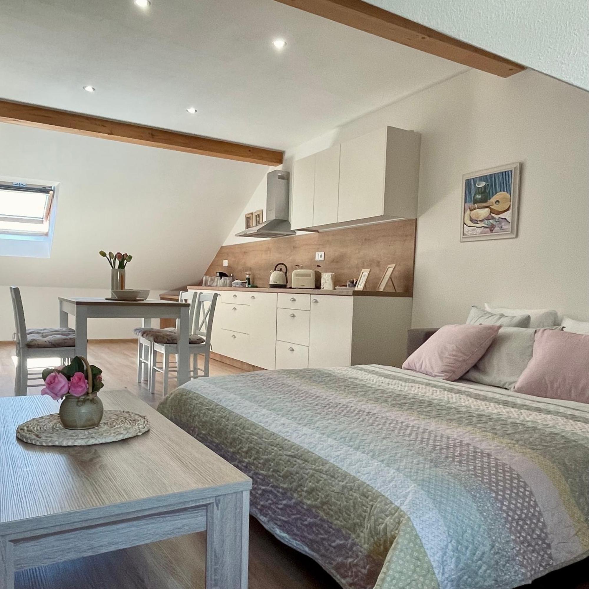 Apartmany Basta & Wellness Sušice Dış mekan fotoğraf