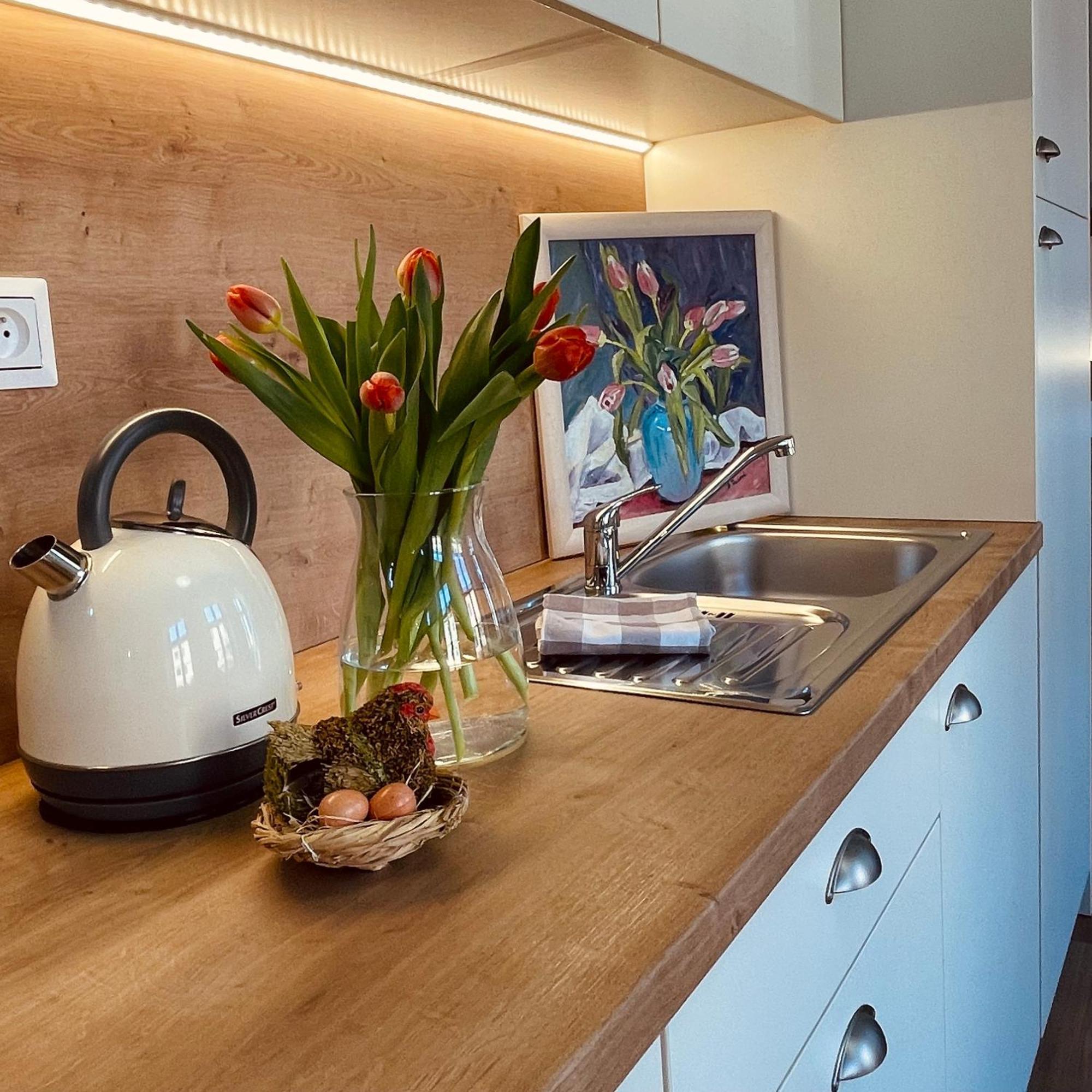 Apartmany Basta & Wellness Sušice Dış mekan fotoğraf