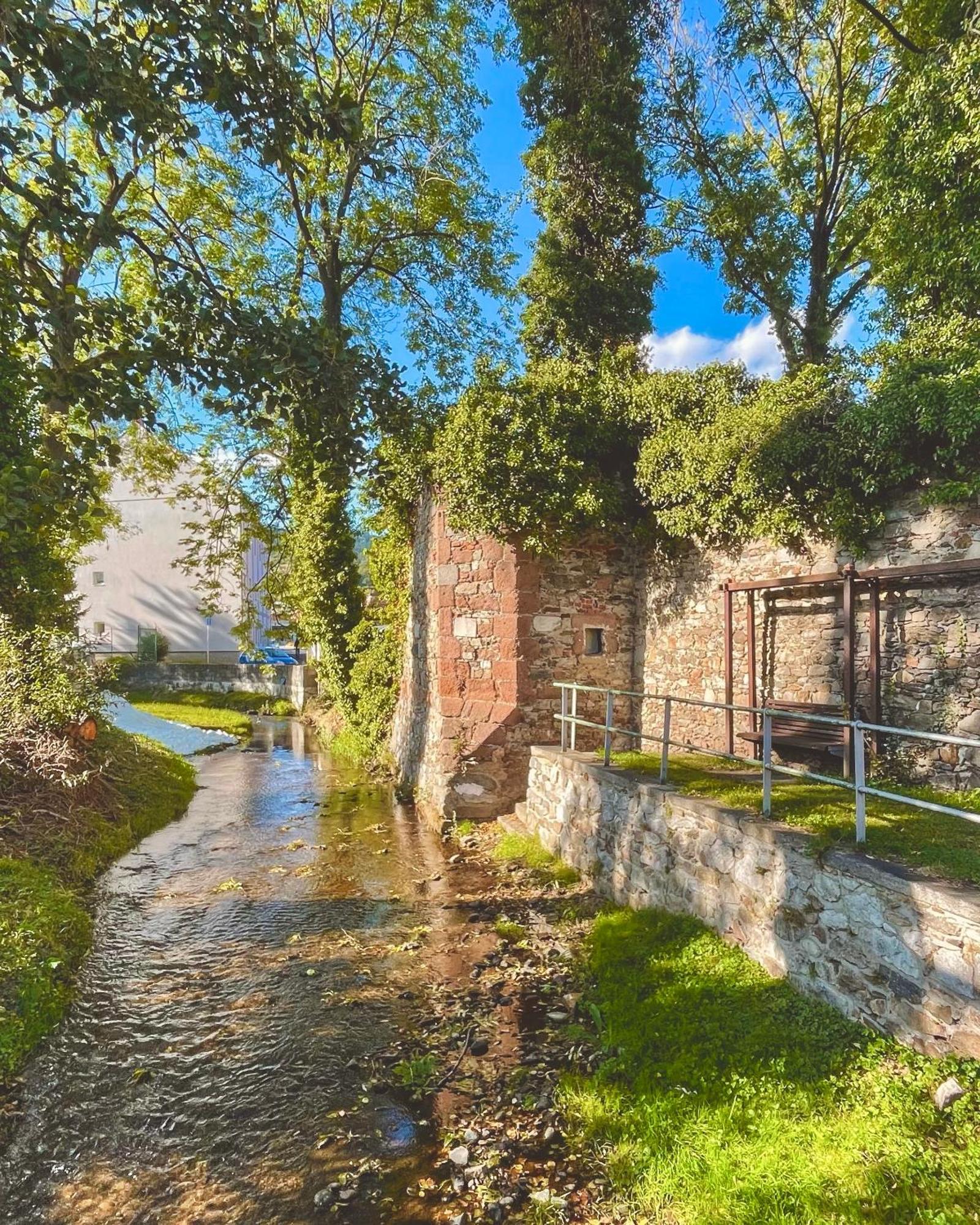 Apartmany Basta & Wellness Sušice Dış mekan fotoğraf